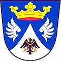 نشان نتین