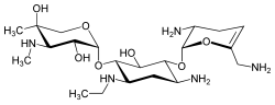 نتیلمایسین