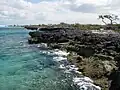 Northern rocky shore of Great Inagua exposing Pleistocene reefal limestones.