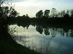 The پیاوه river at Ca' Memo, in the municipality of Noventa di Piave.