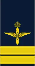 KaptenSwedish Air Force
