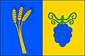 پرچم اودروویتسه