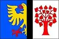 پرچم OrlováOrłowa