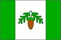 پرچم اوسترووانکی