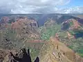 Waimea Canyon ، هاوایی به دلیل پوشش گیاهی کوهستانی خود شناخته شده‌است.