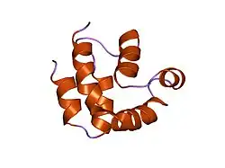 1a1z: دومین مجری مرگ در FADD، جهش F25G، ساختار میانگین و خلاصه‌شده، بدست‌آمده از NMR