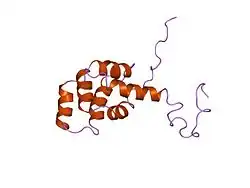 1ddf: دومین مرگ در FAS، با استفاده از NMR، ساختار خلاصهشدهٔ رایج