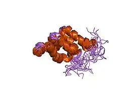 1e41: دومین مرگ در پروتئین FADD/MORT1