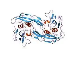 1es7: ترکیب BMP-2 و دو اِکتودومِـینِ گیرندهٔ IA پروتئین ریخت‌زایی استخوان