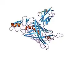 1gl4: کمپلکس ترکیبی NIDOGEN-1 G2 با پرلیکَن IG3