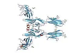 1i8l: کمپلکس توأماً تحریک‌کنندهٔ B7-1/CTLA-4 انسان