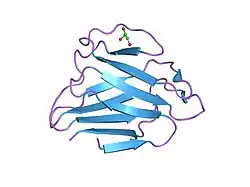 1ifr: ساختار دومین کروی لامین A/C