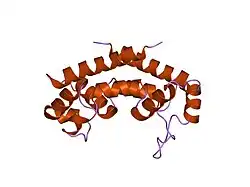 1iv5: ساختار جدید کریستالی حلقهٔ بزرگ خارجسلولی CD81 انسان.