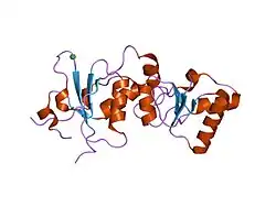 1jnx: ساختمان کریستالی ناحیهٔ تکرارشوندهٔ بیآرسیتی در پروتئین BRCA1