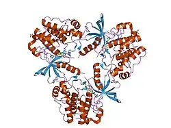 1jqh: دومِـینهای رسپتور کیناز IGF-1