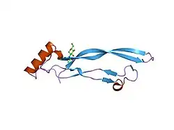 1lxi: پیرایش ساختار کریستالی BMP7