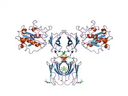 1mq8: ساختار کریستالی دومِـین I آلفا اِل در ترکیب با ICAM-1