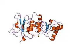 1n5o: عواقب ساختاری ایجادکنندهٔ سرطان ناشی از جهش بدمعنی در BRCA1-BRCT