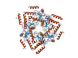 1sl6: ساختار کریستالی قطعه ای از DC-SIGNR (شامل حوزه تشخیص کربوهیدرات و دو تکرار گردن) کمپلکس شده با Lewis-x.
