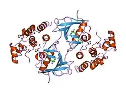 1uwj: کمپلکس نسخهٔ جهش‌یافتهٔ نوعِ V599E از پروتئین B-RAF با BAY439006