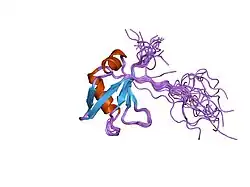 1wf0: ساختار راه‌حل برای دومین RRM در پروتئین شمارهٔ ۴۳ TAR متصل‌شوندهٔ به دی‌ان‌ای