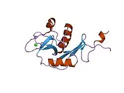 1xph: ساختار DC-SIGNR و بخشی از تکرار دامنه 8