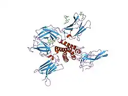 2b5i: کمپلکس گیرندهٔ سیتوکین