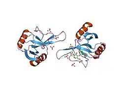 2brs: کمپلکس ترکیبی هپارین EMBP