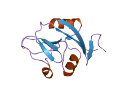 2c6u: ساختار کریستالی CLEC-2 (CLEC1B) انسان