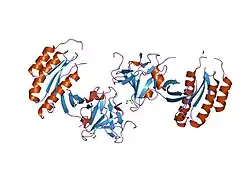 2fu5: ساختار Rab8 در ترکیب با MSS4