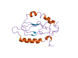 2jod: کمپلکس ترکیبی (Pacap(6-38 و دومین پروتئینی ای‌سی Pac1-Rshort در انتهای آمینی آن
