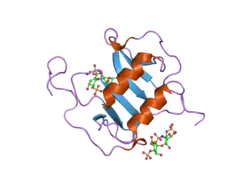 2nwg: Structure of CXCL12:heparin disaccharide complex
