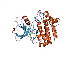 2of2: crystal structure of furanopyrimidine 8 bound to lck