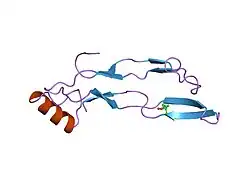 3bmp: پروتئین ۲ ریخت‌زایی استخوان انسان (BMP-2)
