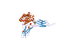 3dlq: Crystal structure of the IL-22/IL-22R1 complex