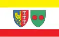 پرچم بیلسکو بیاوا