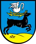 نشان بیرونگ