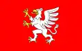 پرچم دنبیتسا