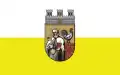 پرچم دوشنگکی-زدروی