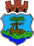 نشان گمینا رن
