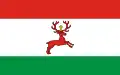 پرچم گمینا وژسک
