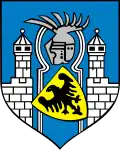 نشان ازگوژلتس