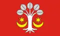 پرچم گمینا بوکوویتس