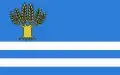 پرچم گمینا ویتژخوویتسه
