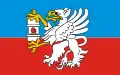 پرچم شهرستان ونچنا