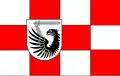 پرچم شهرستان شفیچه