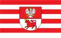 پرچم شهرستان بیلسک