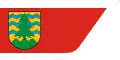 پرچم شهرستان سوواوکی