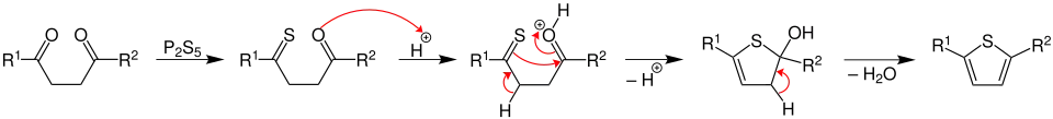 مکانیسم سنتز تیوفن Paal-Knorr