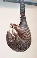 پولکپوستسانان